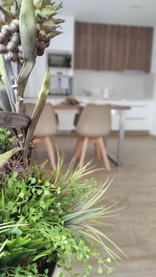 Apartmany Na Vyhlidce Paseka  Ngoại thất bức ảnh